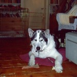 Lulu again.